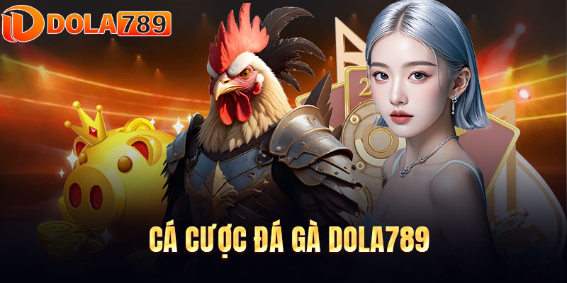 Cá cược đá gà DOLA789 nhận thưởng khủng 