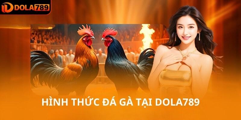 Hình thức đá gà tại DOLA789