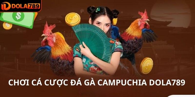 Chơi cá cược đá gà Campuchia DOLA789