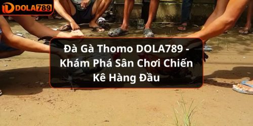 Đà Gà Thomo DOLA789 - Khám Phá Sân Chơi Chiến Kê Hàng Đầu